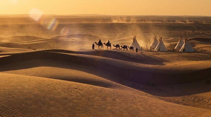 Camel caravan in the dunes